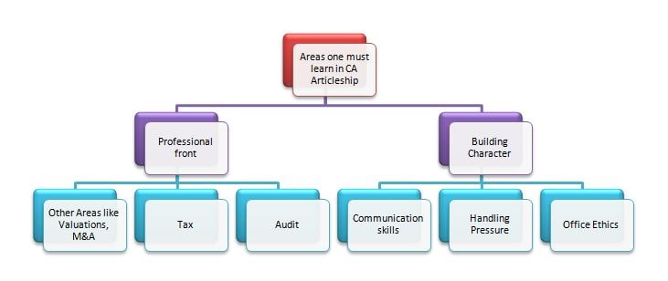 topics to learn in ca articleship