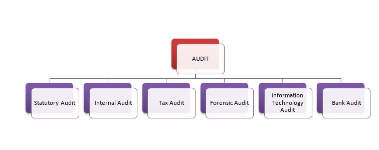 ca articleship in audit